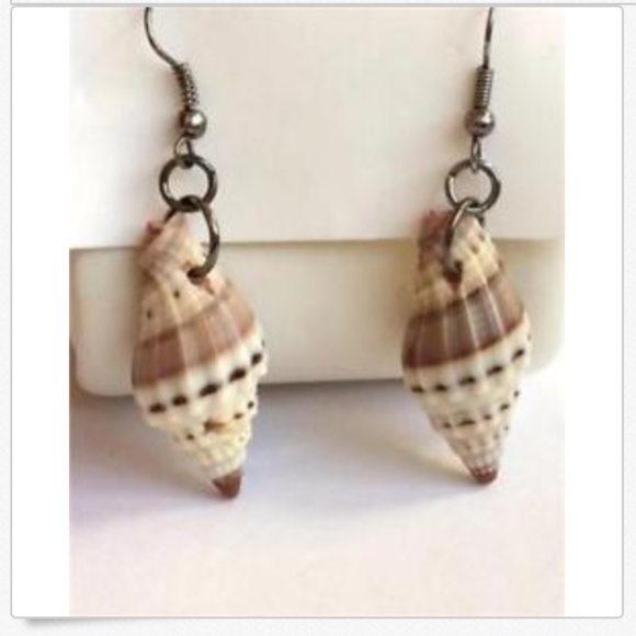 Conch Sea Life Shell Earrings Cerith Pierced Brown White Island Beach Natural - Picture 7 of 11